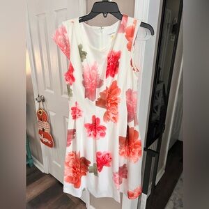 Women’s dress size 10 worn once